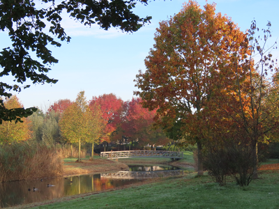 912142 Gezicht over het water langs het Johanniterpad in de buurt Parkwijk, in de wijk Leidsche Rijn te Utrecht, in ...
